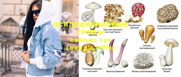 прущие грибы Белоозёрский